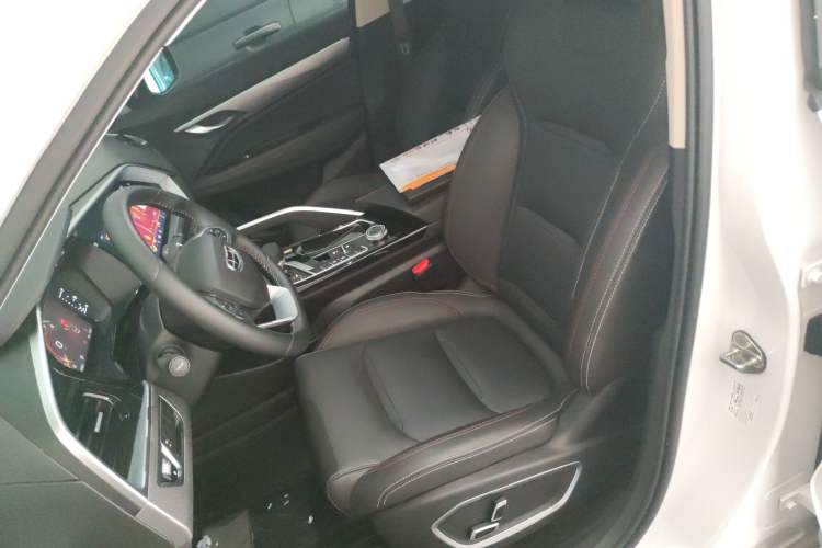 Used Geely Auto Monjaro S 2021 2.0TD DCT Two-Wheel Drive Lightning Edition Left Front Seat