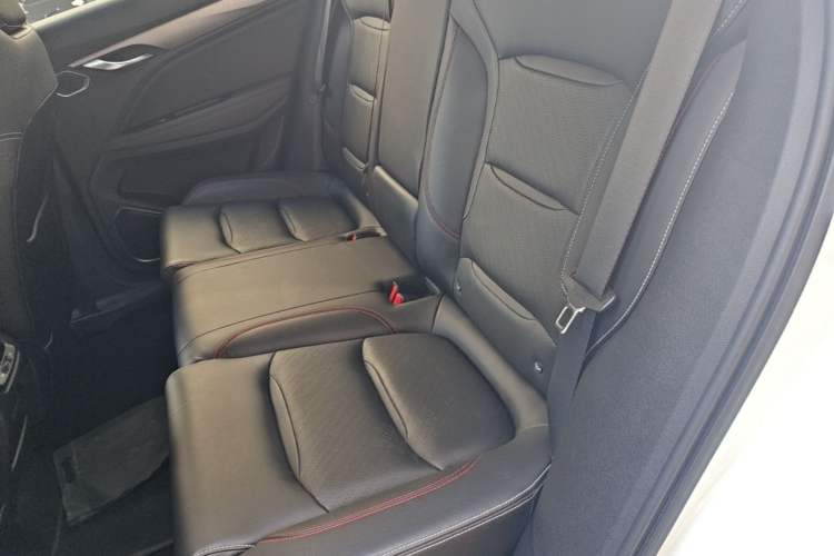 Used Geely Auto Monjaro S 2021 2.0TD DCT Two-Wheel Drive Lightning Edition Left Rear Seat