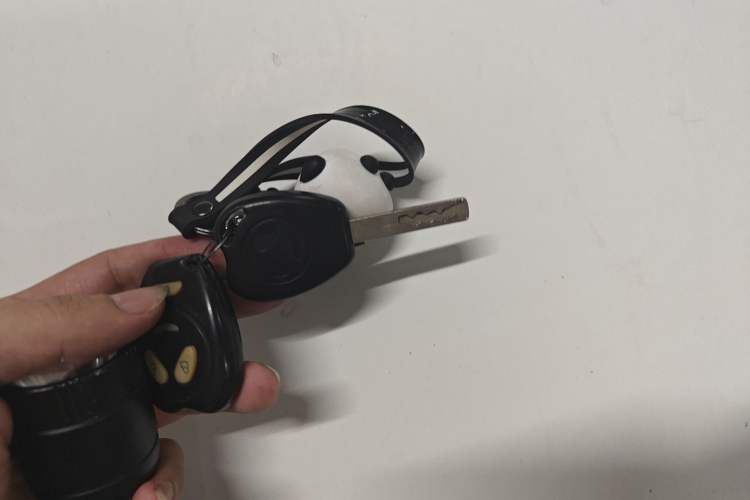Used Geely Auto Panda 2010 "Love Her" Edition 1.3L Automatic Comfort Version Vehicle Key