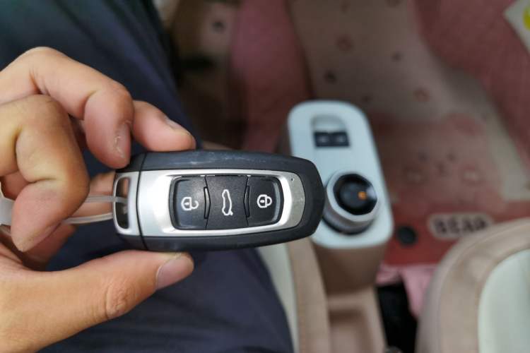 Used Geely Auto Panda 2023 Panda Mini 200km Endurance Bear Vehicle Key