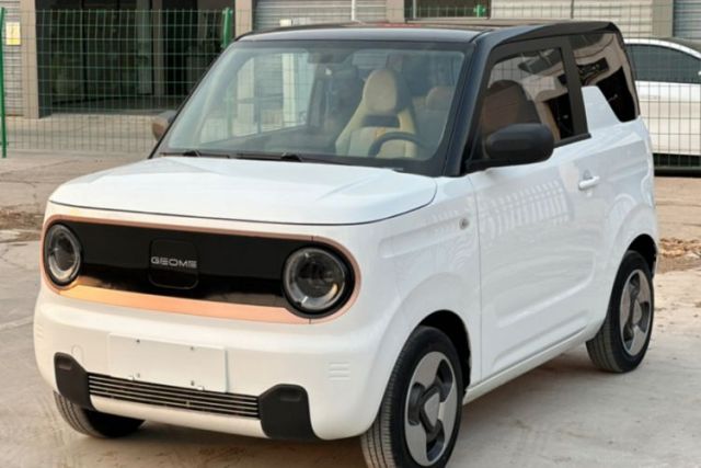 Used Geely Auto Panda 2023 Panda Mini 200km Dynamic Bear