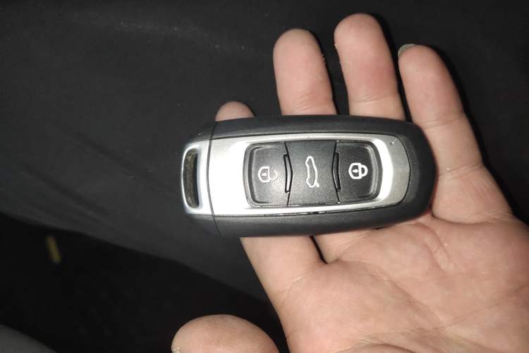 Used Geely Auto Panda 2023 Panda Mini 200km Endurance Bear Vehicle Key