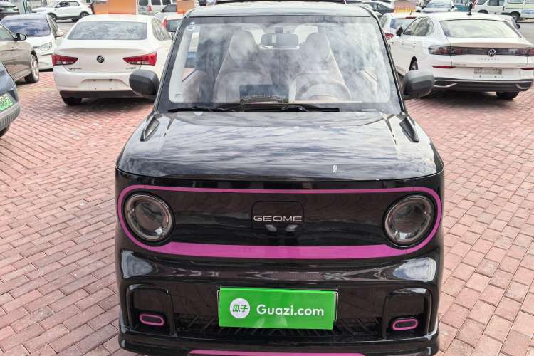 Used Geely Auto Panda 2024 200km Panda Kart Exterior 1