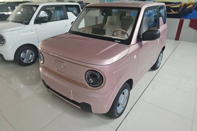 Used Geely Auto Panda 2024 Panda Mini 200km Endurance Bear