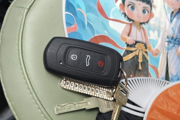 Used Geely Auto Panda 2024 200km Panda Rider Vehicle Key