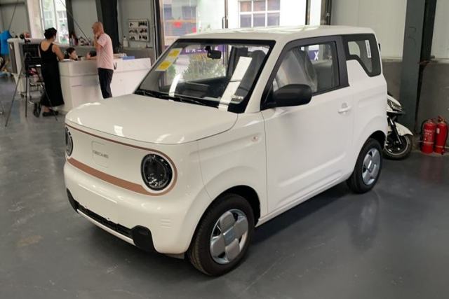 Used Geely Auto Panda 2024 Panda Mini 200km Endurance Bear