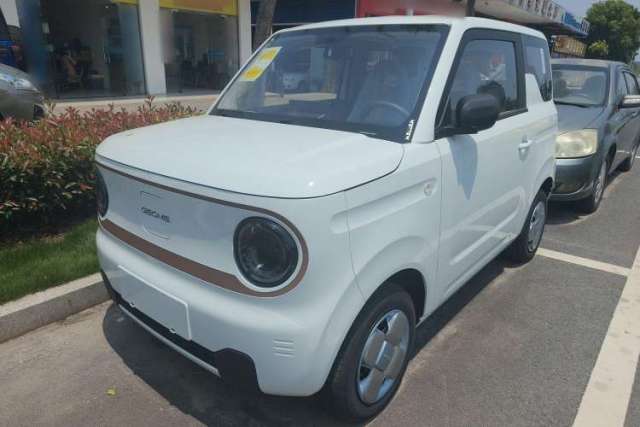Used Geely Auto Panda 2024 Panda Mini 200km Endurance Bear