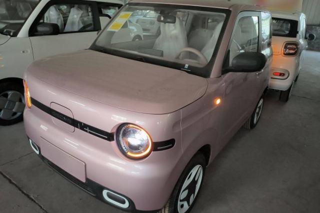 Used Geely Auto Panda 2025 210 km – Yuanqi Bear