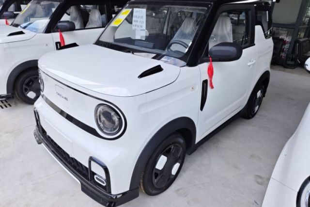 Used Geely Auto Panda 2025 210km Panda Kart