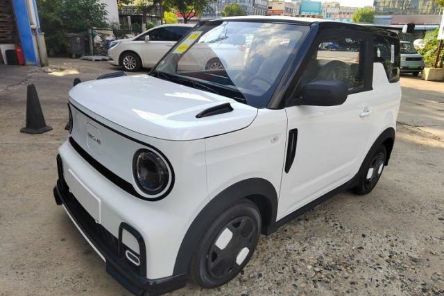Used Geely Auto Panda 2025 210km Panda Kart
