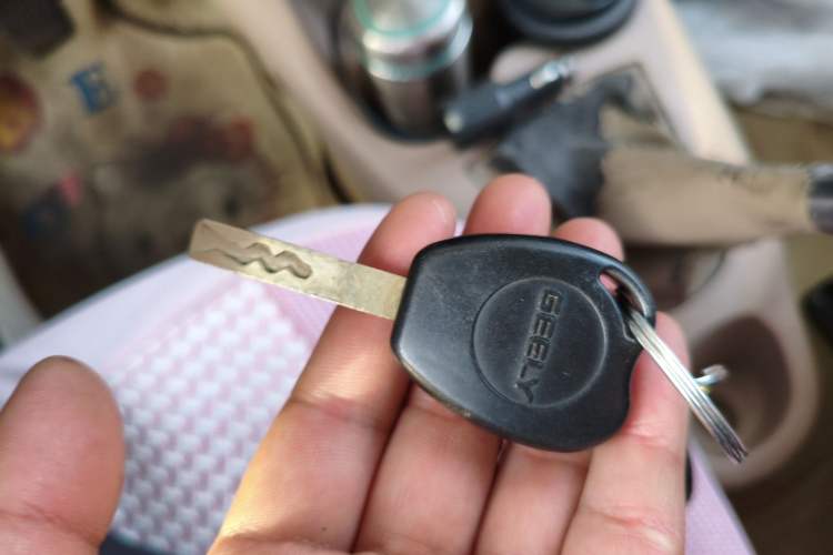Used Geely Auto Panda Classic 2011 1.0L Manual Comfort II Vehicle Key