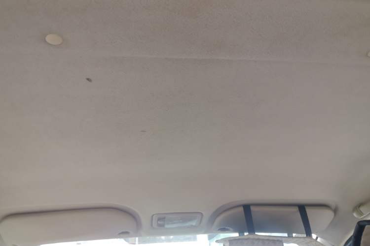 Used Geely Auto Panda Classic 2013 1.0L Manual Entry-Level Model Headliner