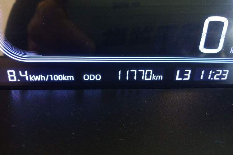 Used Geely Auto Panda Classic 2023 Panda Mini New Year Edition Treasure Bear Odometer Close Up