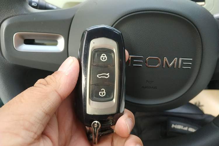 Used Geely Auto Panda Classic 2023 Panda Mini 200km Endurance Bear Vehicle Key