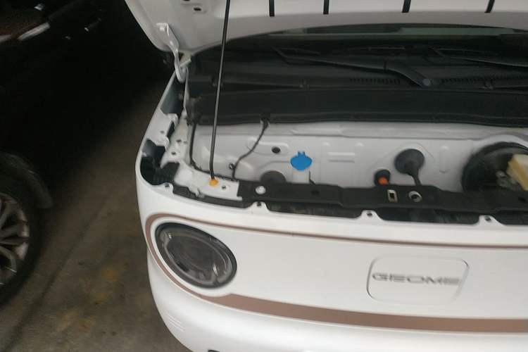 Used Geely Auto Panda Classic 2023 Panda Mini 200km Endurance Bear Engine Bay Right