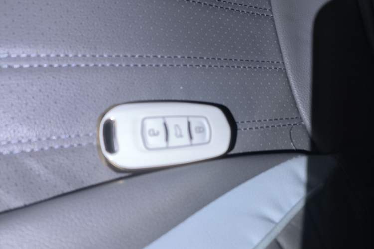 Used Geely Auto Panda Classic 2023 Panda Mini 200km Endurance Bear Vehicle Key