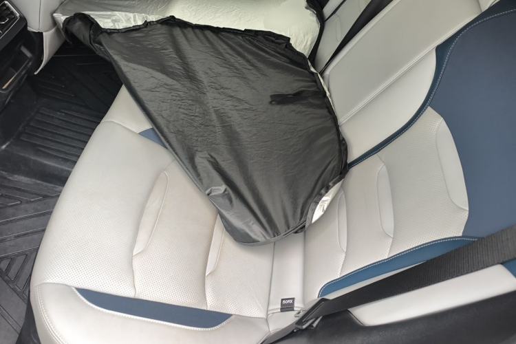 Used Geely Auto Preface 2021 2.0TD Flagship Edition Left Rear Seat