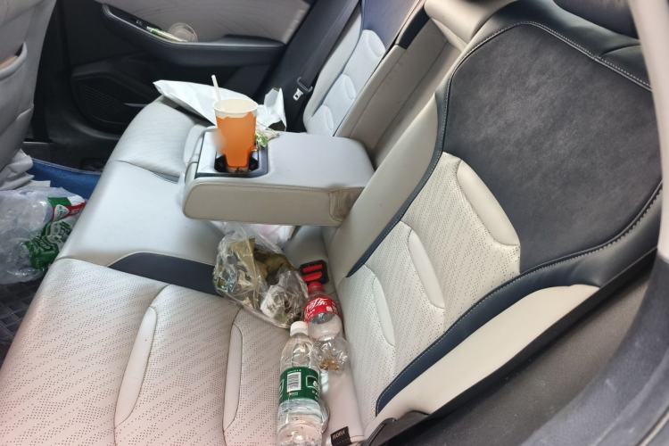 Used Geely Auto Preface 2021 Revised Version 2.0TD Luxury Edition Left Rear Seat