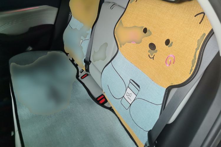 Used Geely Auto Preface 2021 Revised Version 2.0TD Luxury Edition Left Rear Seat