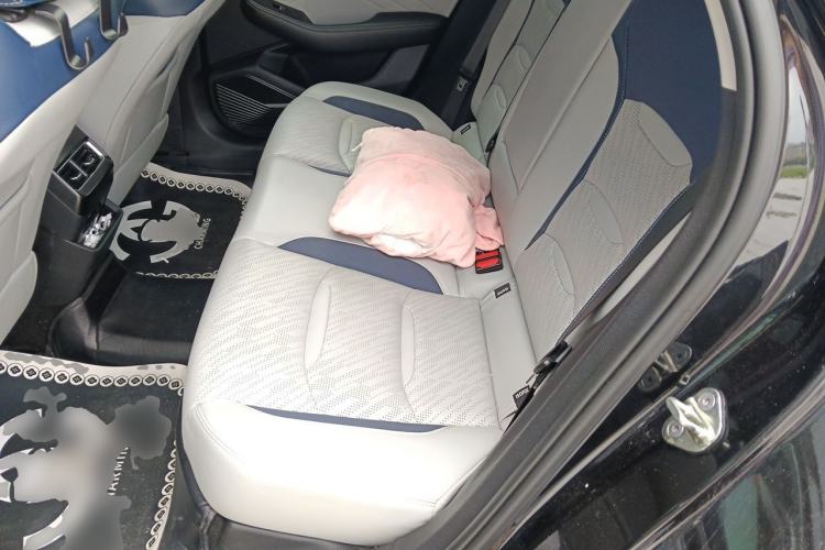 Used Geely Auto Preface 2021 2.0TD Luxury Version Left Rear Seat