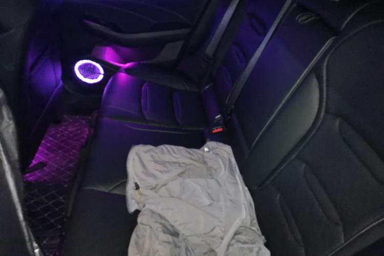 Used Geely Auto Preface 2021 2.0TD Luxury Version Left Rear Seat