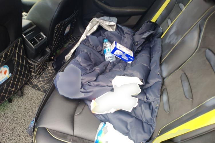 Used Geely Auto Preface 2021 2.0TD Space-Time Edition Starry Celestial Left Rear Seat