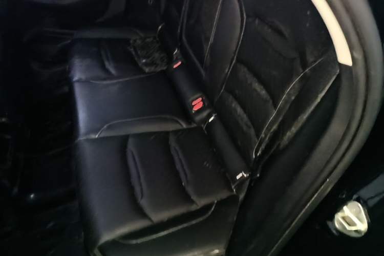 Used Geely Auto Preface 2021 2.0TD Luxury Version Left Rear Seat