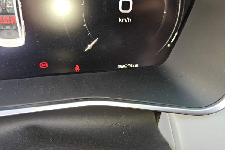 Used Geely Auto Preface 2021 2.0TD Luxury Version Odometer Close Up
