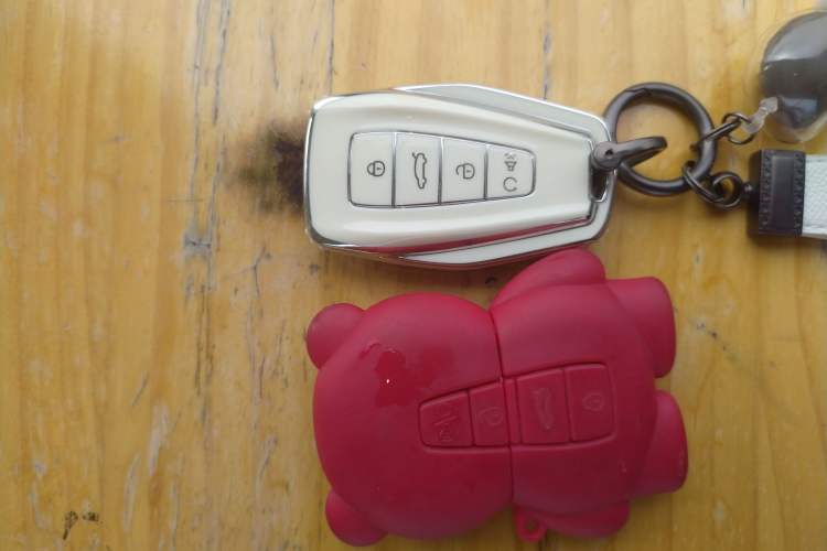 Used Geely Auto Preface 2021 2.0TD Luxury Version Vehicle Key