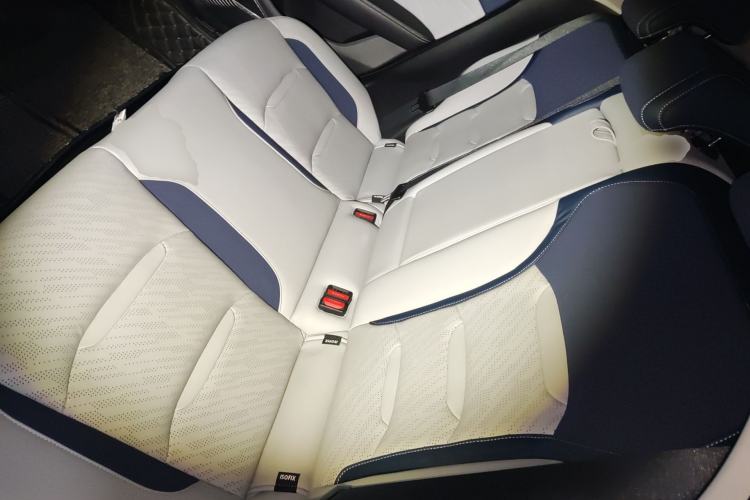 Used Geely Auto Preface 2021 2.0TD Luxury Version Left Rear Seat
