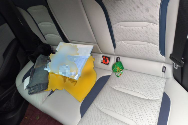 Used Geely Auto Preface 2021 2.0TD Luxury Version Left Rear Seat