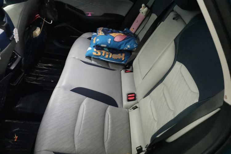 Used Geely Auto Preface 2021 Revised Version 2.0TD Luxury Edition Left Rear Seat