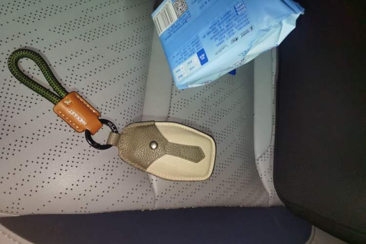 Used Geely Auto Preface 2021 2.0TD Designer's Recommended Edition Vehicle Key