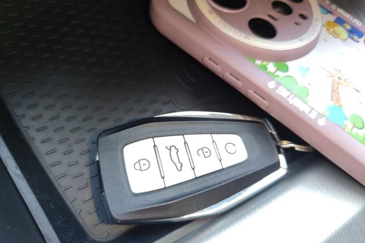Used Geely Auto Preface 2021 2.0TD Flagship Edition Vehicle Key