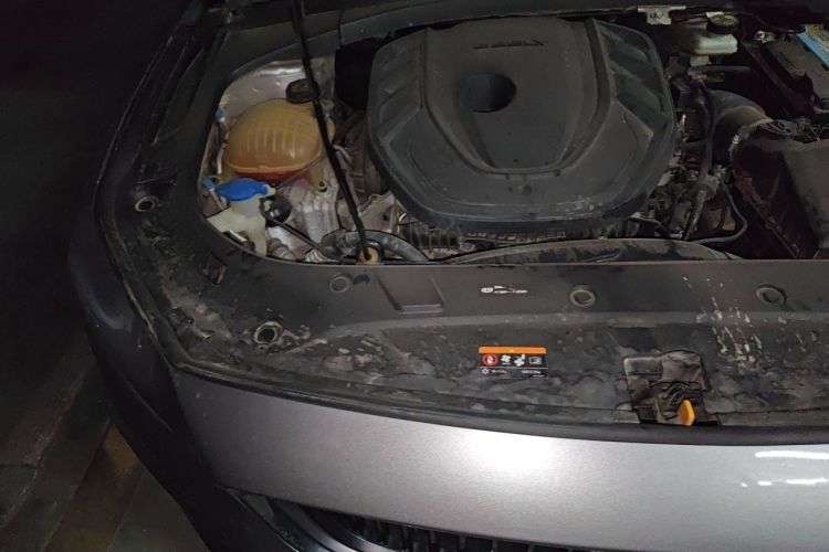 Used Geely Auto Preface 2021 2.0TD Luxury+ Version Engine Bay Right