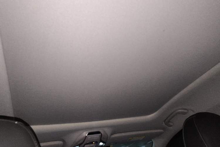 Used Geely Auto Preface 2021 2.0TD Luxury Version Headliner