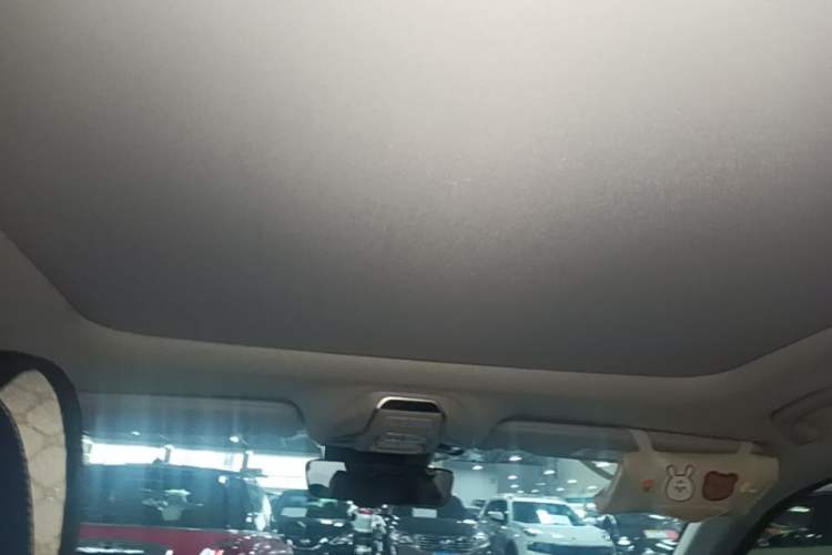 Used Geely Auto Preface 2021 Revised Version 2.0TD Luxury Edition Headliner