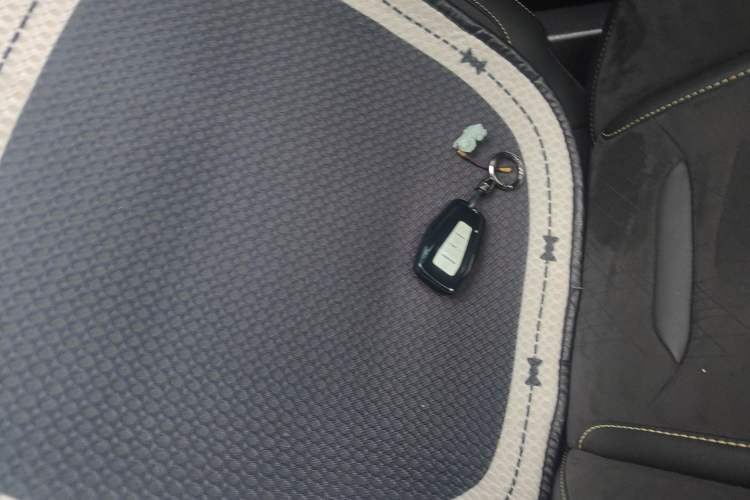 Used Geely Auto Preface 2021 2.0TD Space-Time Edition Starry Celestial Interior 1