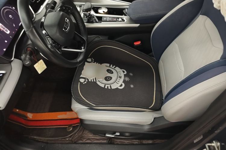Used Geely Auto Preface 2021 Revised Version 2.0TD Luxury Edition Left Front Seat