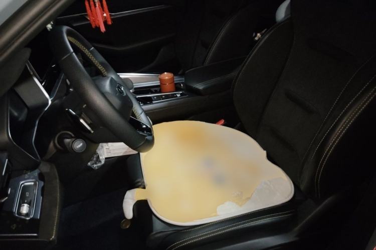Used Geely Auto Preface 2021 2.0TD Luxury Version Left Front Seat