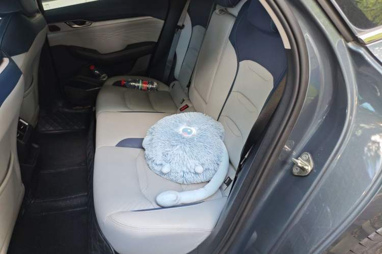 Used Geely Auto Preface 2021 2.0TD Luxury Version Left Rear Seat