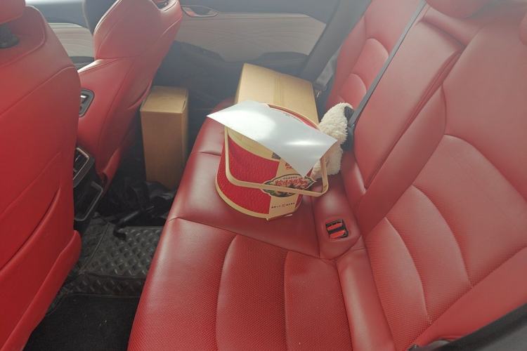 Used Geely Auto Preface 2021 2.0TD Flagship Edition Left Rear Seat