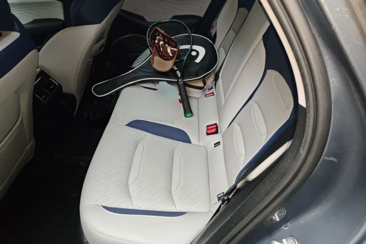 Used Geely Auto Preface 2021 Revised Version 2.0TD Luxury Edition Left Rear Seat