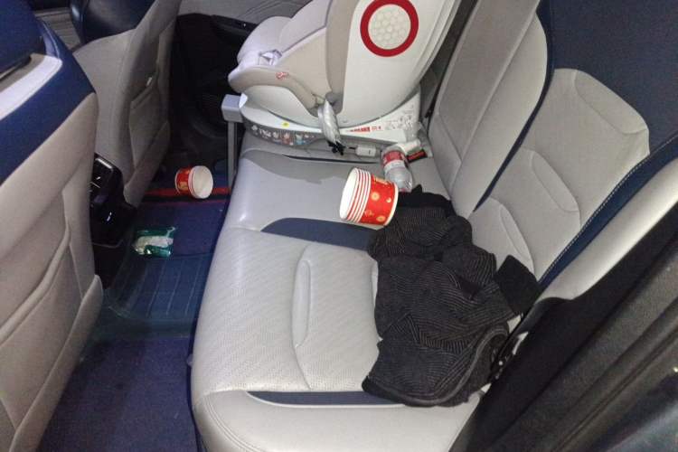 Used Geely Auto Preface 2021 Revised Version 2.0TD Luxury Edition Left Rear Seat