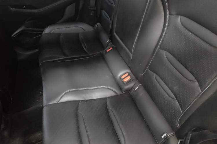 Used Geely Auto Preface 2021 2.0TD Luxury Version Left Rear Seat