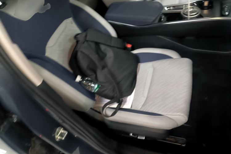 Used Geely Auto Preface 2021 2.0TD Luxury Version Right Front Seat