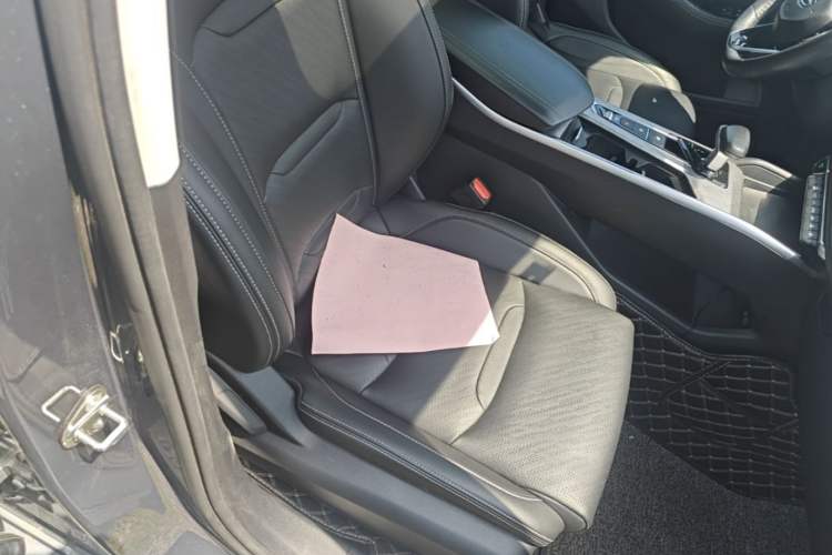 Used Geely Auto Preface 2021 2.0TD Luxury Version Right Front Seat