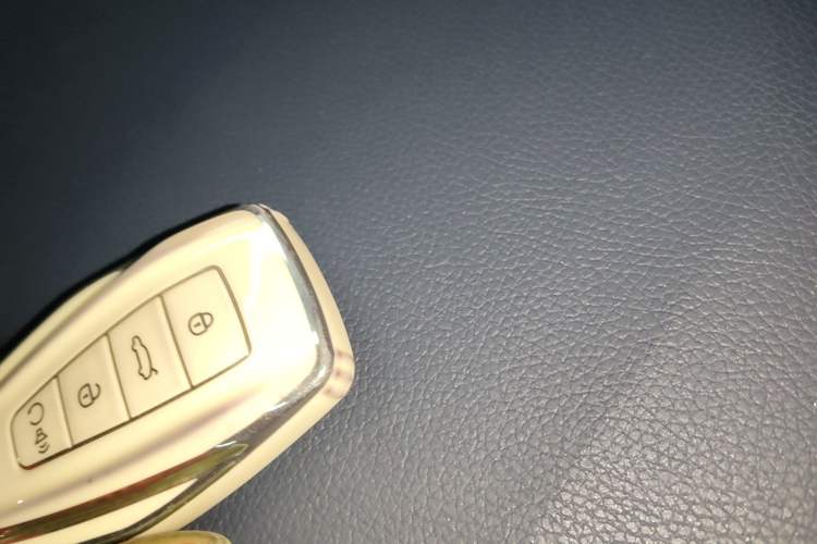 Used Geely Auto Preface 2021 Revised Version 2.0TD Luxury Edition Vehicle Key