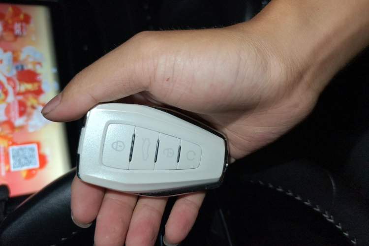 Used Geely Auto Preface 2021 2.0TD Luxury Version Vehicle Key