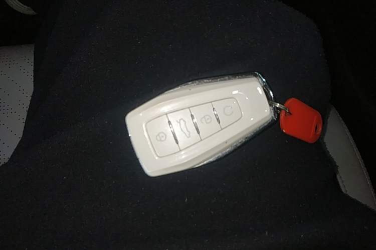 Used Geely Auto Preface 2021 Revised Version 2.0TD Luxury Edition Vehicle Key